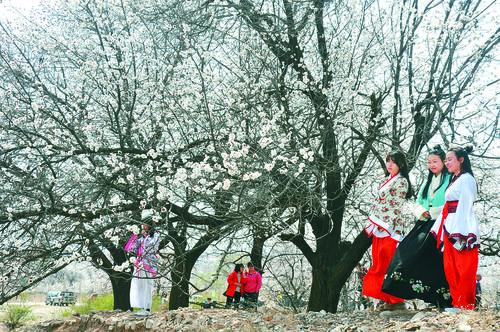 大象体育app下载界面预览